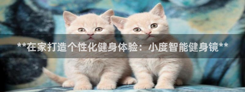 龙8国际是什么电影