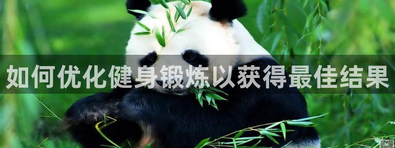 龙8国际最新官网