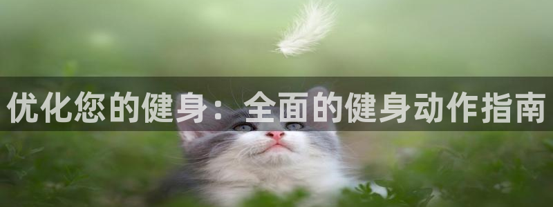 龙8游戏网站