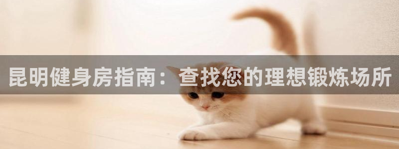 龙八国际服官网入口