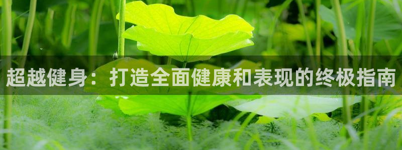 龙8国际游戏官方进入的介绍