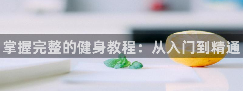 龙八国际网页