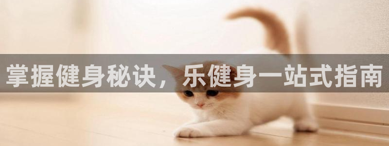 龙8国际龙8官方