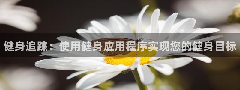 龙八国际唯一官网