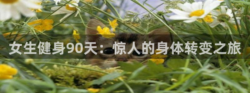龙8国际安卓官方版fxzls-1.2.1 -安卓