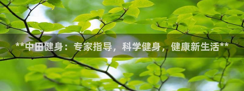龙8国际官网娱乐