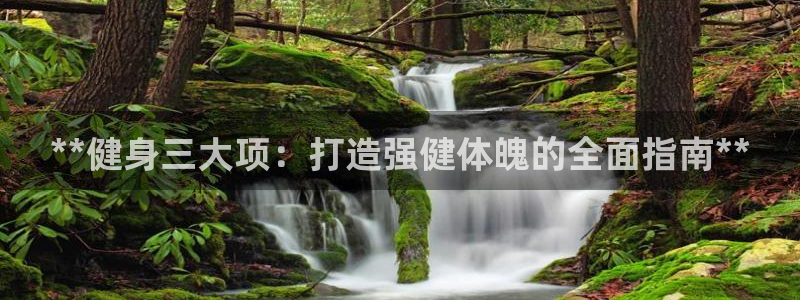 龙 八国际