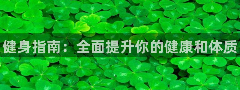 龙8国际线上