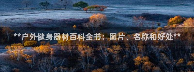 龙8国际网页版