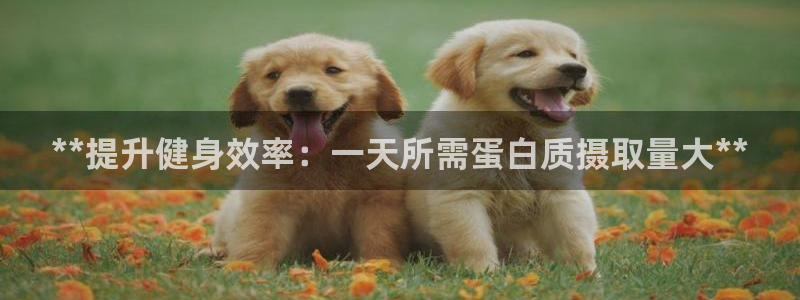 龙8国际官网版最新版下载