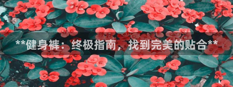 龙8国际官方网页