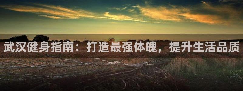 龙8国际手机游戏官网