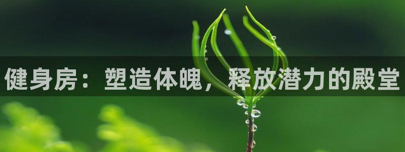 龙8国际游戏最新资讯