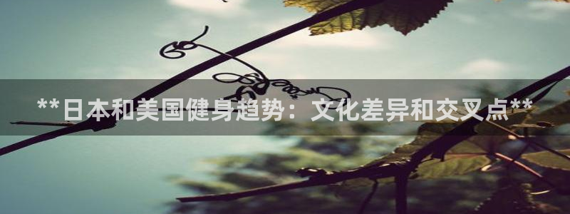 龙八国际登录密码