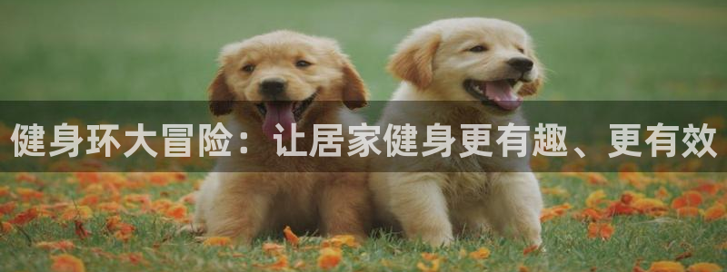 龙8国际游戏最新资讯