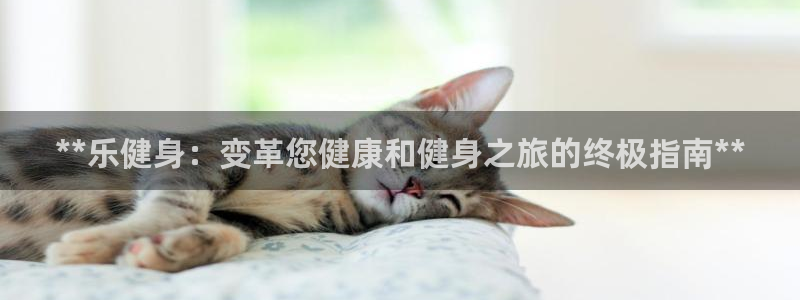 龙8国际long88