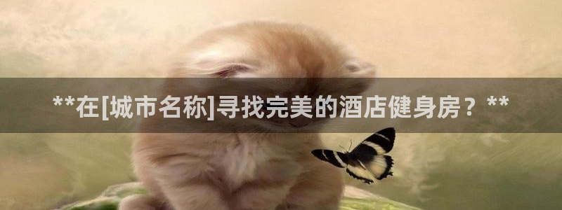 龙八棋牌