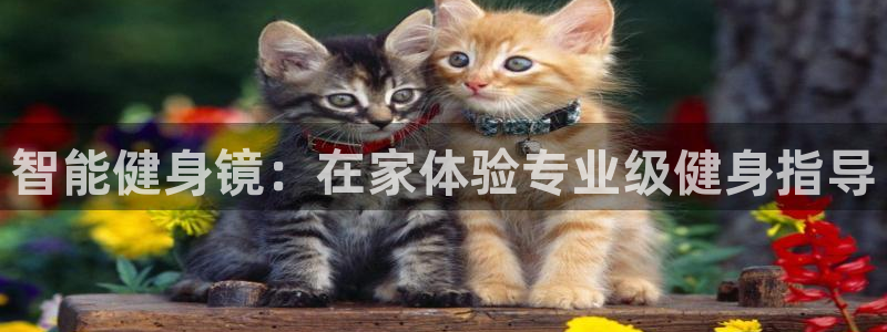 国际龙8唯一登陆