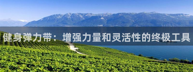 龙八国际2018最新官网