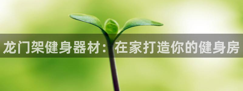 龙8官网正版