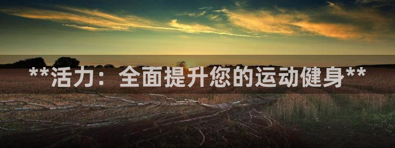 龙8网页版登录入口