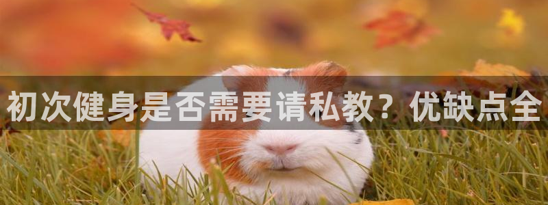 龙8国际long88(中国)官方网站