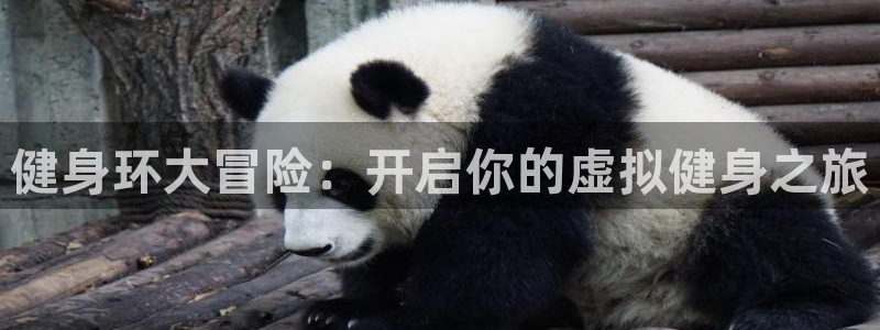 龙8官网正版