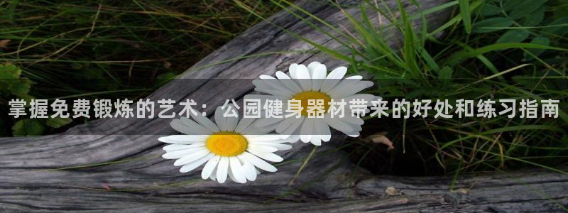 龙8游戏官方网站z