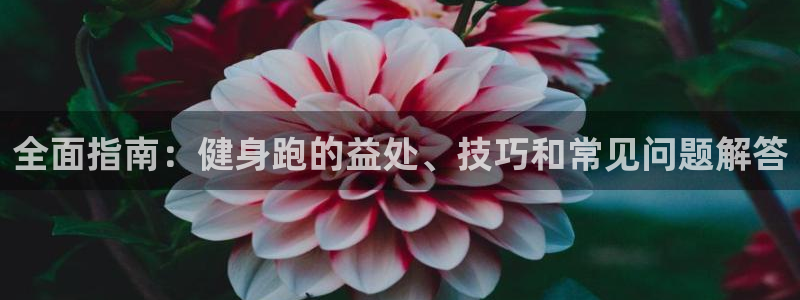 龙8 国际