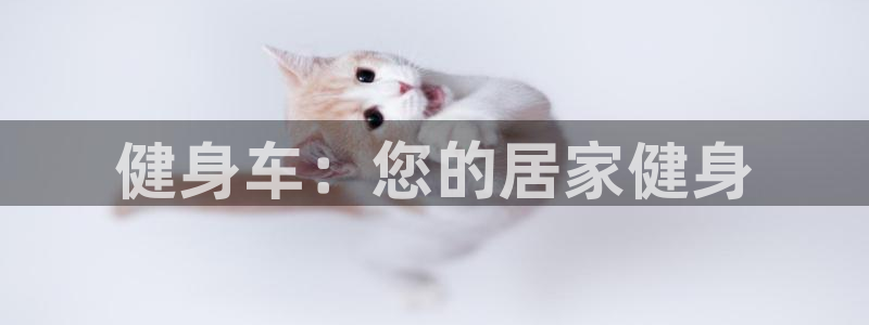 龙8国际娱首页