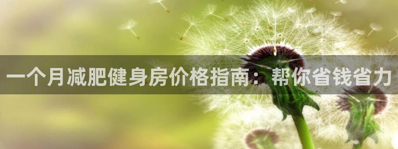 龙8国际官方网站手机版下载