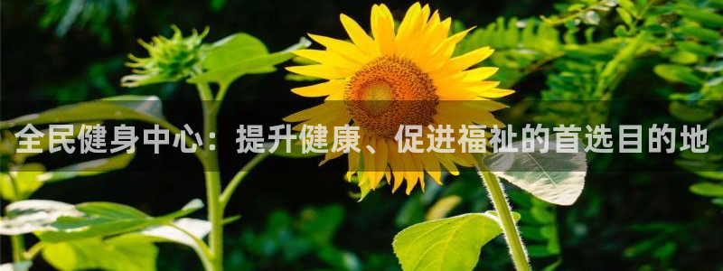 下载龙8国际