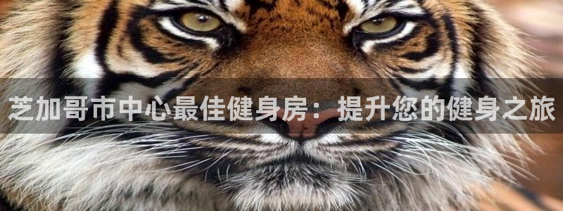 龙8国际游戏最新资讯