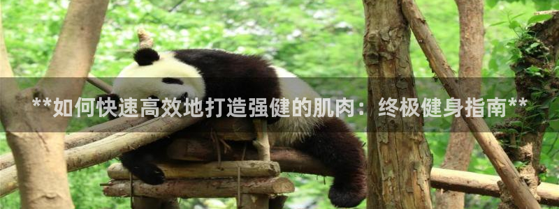 龙8游戏平台官方