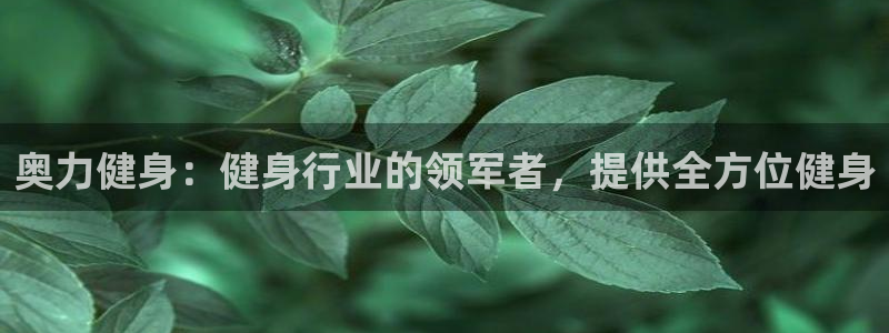 龙8国际官网娱乐