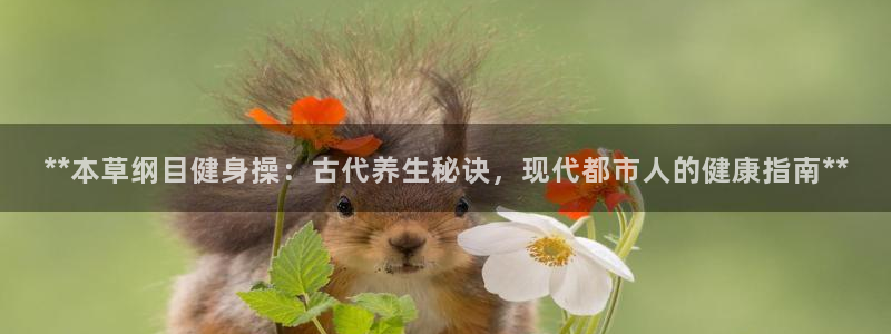 龙8国际app下载手机版