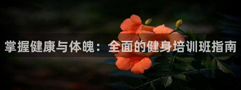 龙八国际首页