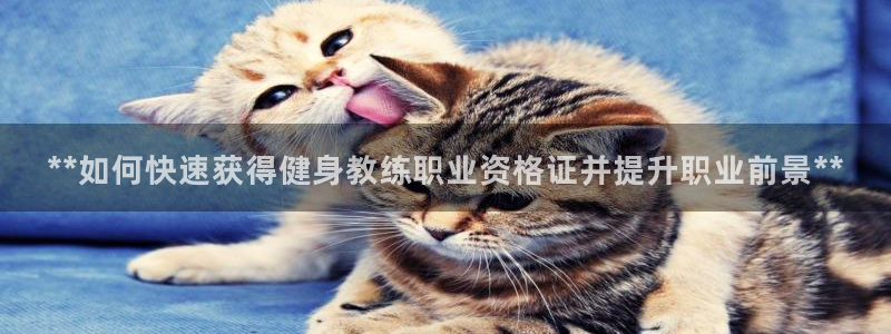 龙8国际中国
