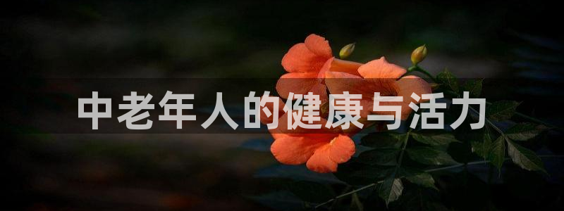 龙8国际手机版下载