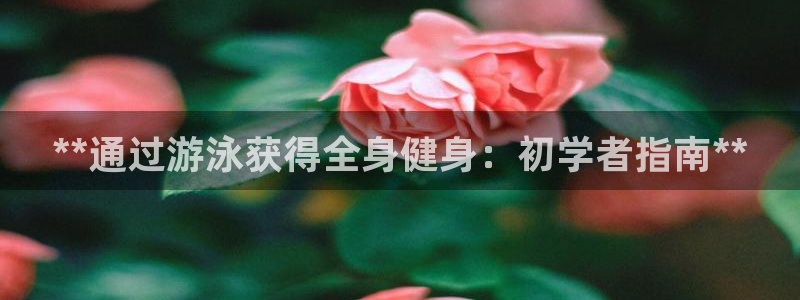 龙8 国际