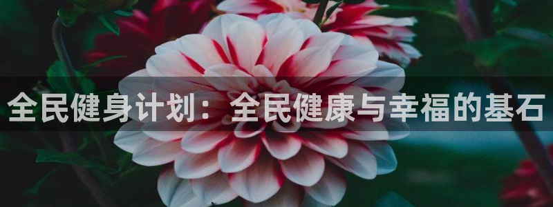 龙8国际服