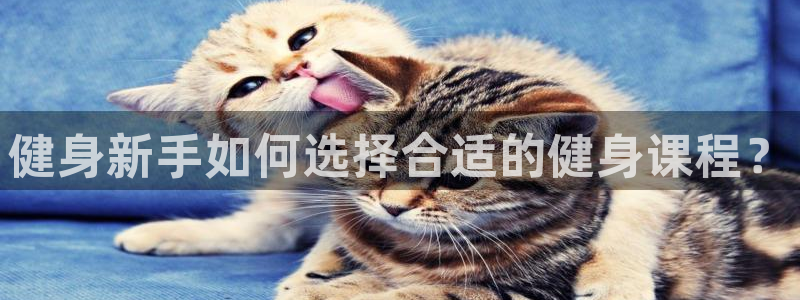 龙8国际官方下载