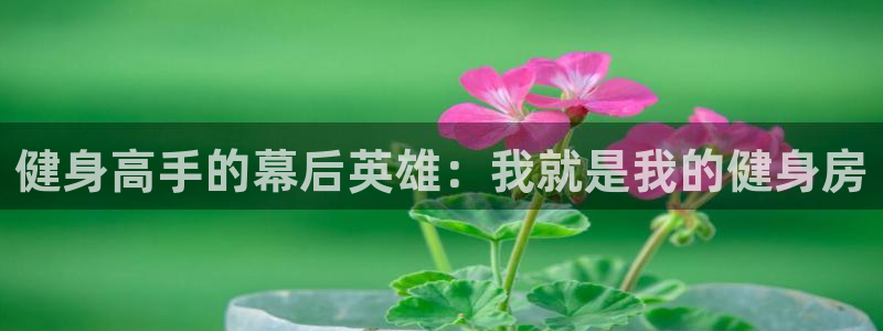 龙8国际城