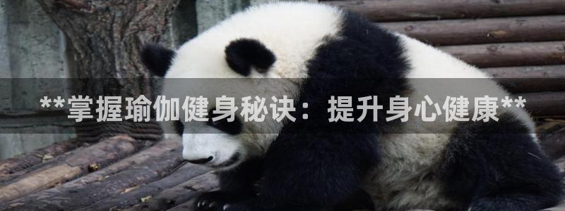 龙八国际首页