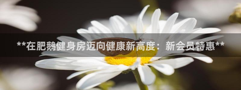 龙八国际官方网