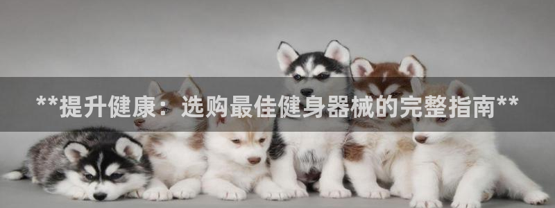 龙8国际唯一官网手游登入口