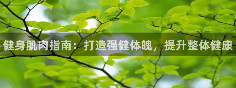 龙8游戏官方网站p