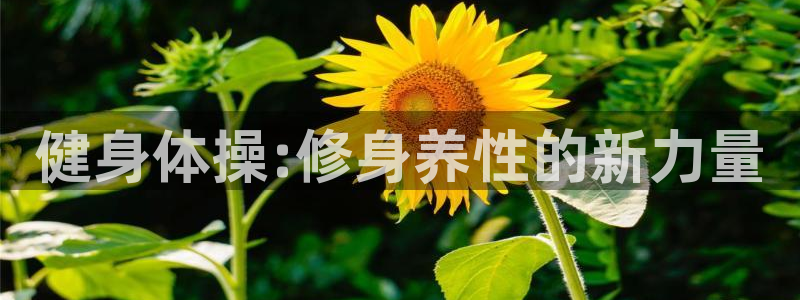 龙8国际官方网页