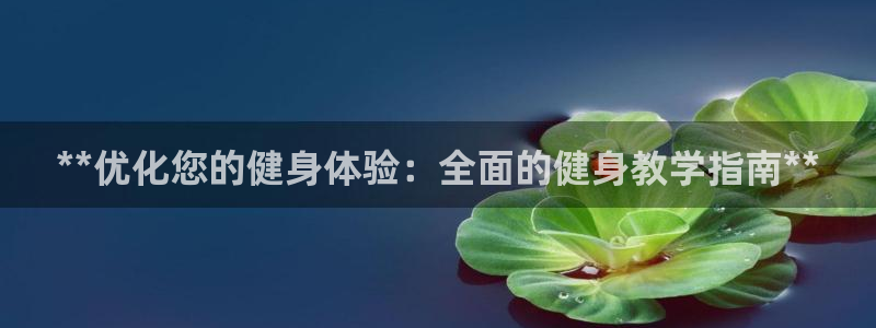 国际龙8官方网站