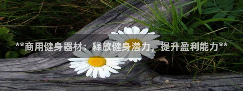 龙8app 国际